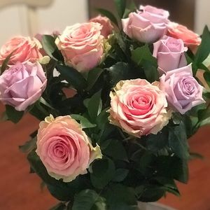 Meet your Posher, Marcela